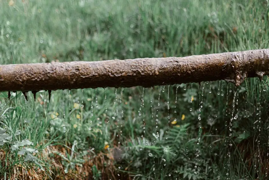 Rusted metal pipe dripping water above grass